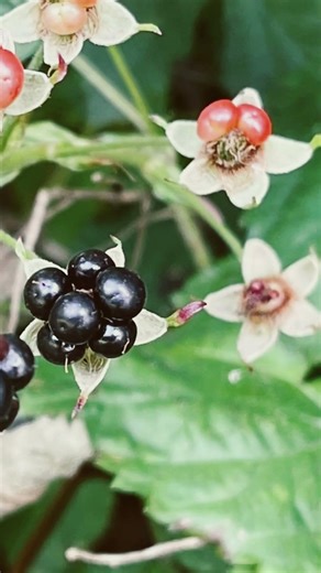 Almost spring! Dreaming of summer… #spring #summer #lookahead