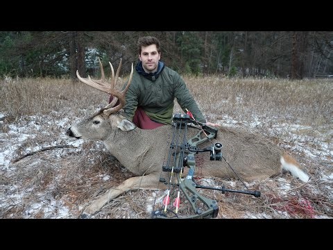 Whitetail hunting BC - PEAK RUT 2025 