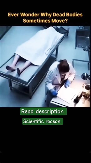 Why a Body Moves After Death | No Myths, Only Science | Is It Life or Science?