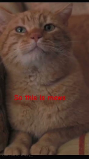 Dustin #memes #funny #netflixseries #strangerthings