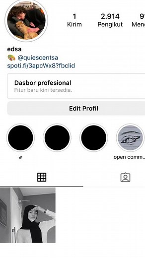 Exploring Social Media Profile Editing Options