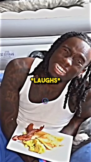 OffSet Was Just Trying To Sleep 🤣 #OffSet #sleep #fbreels #viralreels #funnyreels #funnypost #funnyvideo #funnymoments #fypシ゚viralシ2023 #foryoureel #shortsreels #usareels #reelsuk #reelsusa #fypusa | WeRising Stories