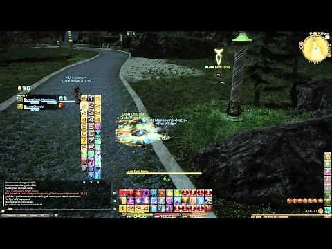 Final Fantasy XIV - Healer HUD and Macro tip