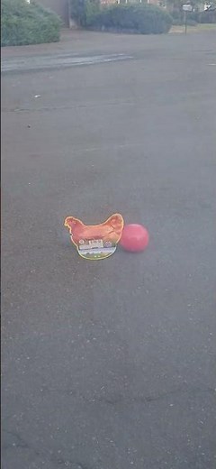 The chicken blowing balloon firework
