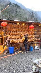 143K views · 6.2K reactions | Best Pig Feed Ingredients | About Cooking Tv | Facebook