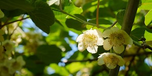 USP研究所 | ユニバーサル・シェル・プログラミング研究所