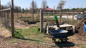 Tree planting event Saturday at Crossroads at Big Creek nature preserve in Sturgeon Bay