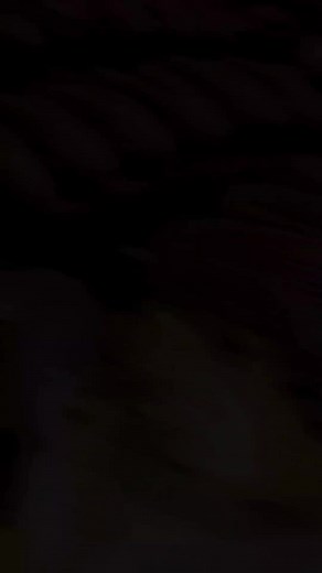 Homemade chocolate eclairs #desserts #cakesofinstagram #cakestyle #tiktokvideo #instagram #reelsinstagram #cakes #tiktoks #recipes #instagramreels #foodiesofinstagram #tiktok #instagramers #tiktokmemes #intags #instagramhub #dessert #dessertlover #cakestagram #chocolate #recepty #homemadefood #easyrecipes #fyp #foryou #eclairs #homemadeeclairs