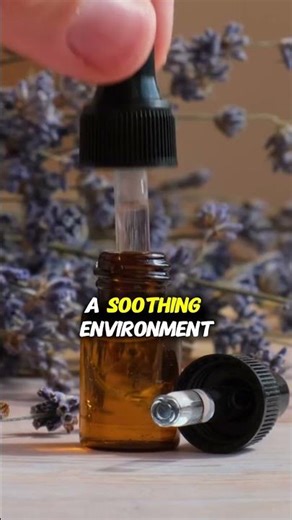 Lavender Oil Miracle | Ancient Remedy For Stress & Calm #shorts