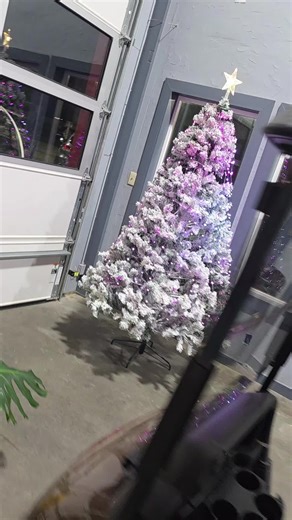 Christmas tree lights.