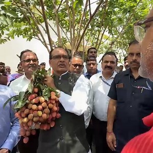 1.6M views · 46K reactions | बिहार की लीची अद्भुत है... माननीय...