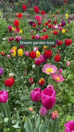 Dream Garden Tour - Bunnings Plants and Spring Flowers