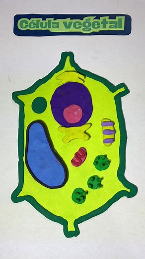Células hechas a mano con plastilina | Aprende biología
