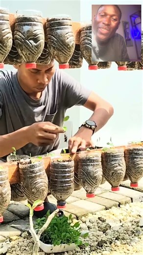 Hydroponics: The Future of Farming?