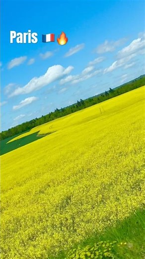 Such a beautiful 🤩Spring of france 🇫🇷 #france #paris #viral #fyp #travel #shorts