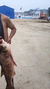 how to make a fly fishing net fishing fishinglife net