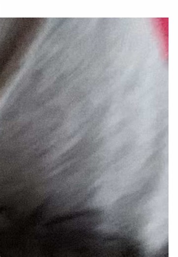 liek what u doing here..