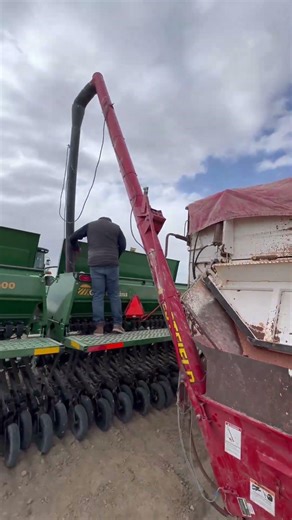 Filling up our grain drill with barley seed from a ten wheeler #graingrowers