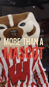 23K views · 322 reactions | Bucky Badger is more than a mascot. Celebrate the heart and humor of this furry icon that connects the people of Wisconsin with our new historical documentary. Bucky! premieres 7 p.m. Tuesday, Dec. 2, on PBS Wisconsin. Watch the trailer at pbswisconsin.org/bucky/ | PBS Wisconsin | Facebook