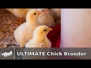 The ULTIMATE Chick Brooder - AMA S10:E5