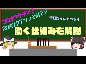 RNAワクチンとは？ウイルスベクターワクチンとは？わかりやすく解説【ゆっくり解説/生物】