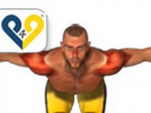 Vorgebeugtes Seitheben (Schulterübungen)