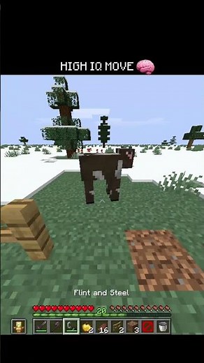 #7x7