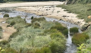 Pourquoi les analyses de l’eau sont-elles si différentes entre les institutions et les