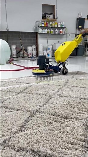 Watch this SHAGGY SOAPY SCRUB & SQUEEGEE! 🫧 #shorts #carpet