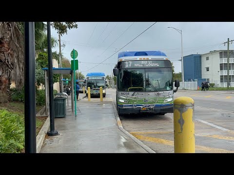 Miami-Dade Transit Bus Action EP26 🔥 | Miami Buses in Action!”