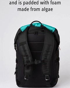 378 reactions · 50 shares | Meet your new travel buddy  Expands to 35L and pockets for everything, this backpack is ready for any adventure! Free shipping available on select orders | tentree | Facebook