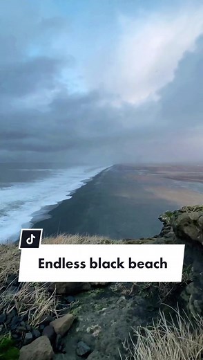 Stray.compass su TikTok