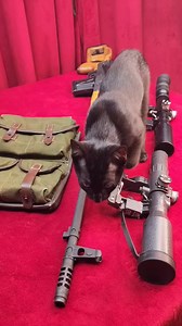 1.6M views · 10K reactions | Old 1940 ShKAS Machine Gun Restoration #restoration #restorationvideos #restore #diy #doit #doityourself #crafts #craftsman #craftsmanship #PerfectRestoration #asmr #asmrrestoration | Mary Morillo | Facebook