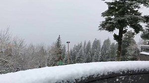127K views · 2.3K reactions | Snowing hard right now with about an inch at the base and more on top. Web cams are down due to a power outage. | Bogus Basin Mountain Recreation Area | Facebook