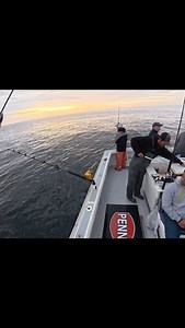 63K views · 5.4K reactions | Almost lost a finger on this one!! 﫣 . We are approaching Christmas which means we begin our social media postings showing some fun days from this past season. Enjoy! . @Massbayguides @pennfishing @ltmarineproducts @monahansmarine @zackscustomrods @seabrosfishing @costasunglasses @winthrop_tackle @saltyboatdecks @afueracoffee @cortlandline | Mass Bay Guides | Facebook