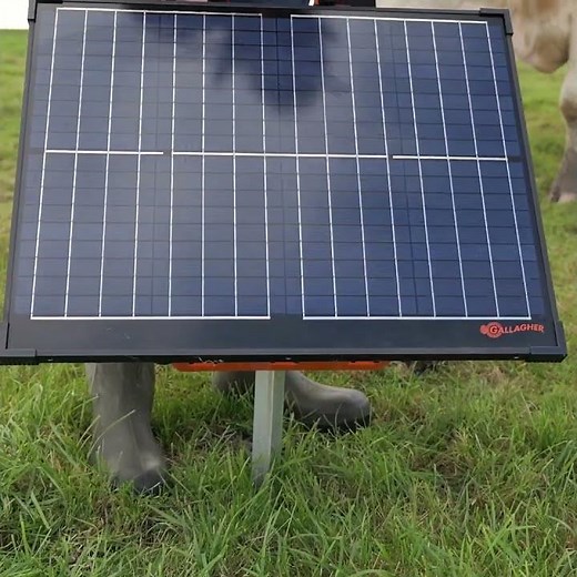 How to Install the Gallagher S400 Solar Energizer | Maximum Power Anywhere