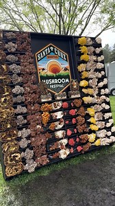 149K views · 4.5K reactions | Starting to get really excited about...