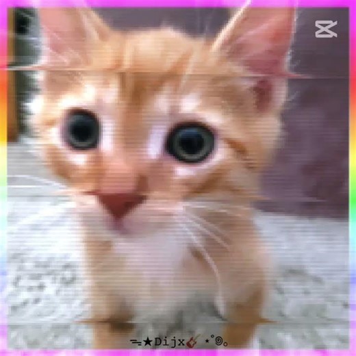 #roblox #sonicthehedgehog #sonic