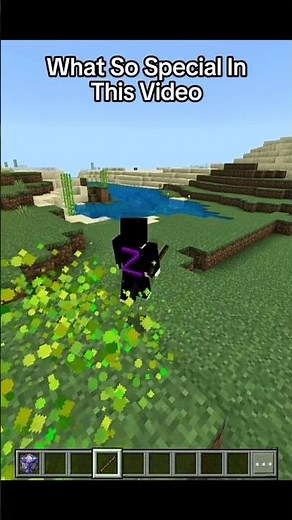 Minecraft Totem Particle trail