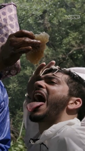 In a remote region of the Annapurna mountain range, Nepal's Gurung people practice an ancient tradition of honey hunting where they descend towering cliffs on handmade ladders, to harvest honey nestled under jagged overhangs. | VICE