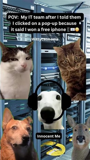 I Clicked the ‘Free iPhone’ Pop-Up—The IT Team’s Reaction Was Priceless! 😂🐱📱#viralshorts #shorts
