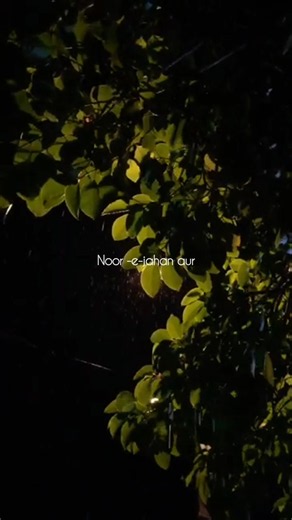 Noor-e-jahan or noor-e-mohabbat//Ishq murshid song #shorts #viral #lyrics #song