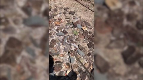 Husqvarna 4-Gallon Battery Backpack Sprayer, Garden Sprayer Runs on 18V Battery, No Pumping Required, Battery and Charger Included