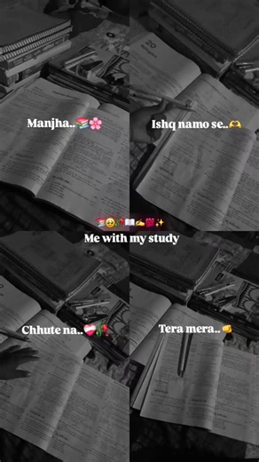 @the_studyvibes_ on Instagram: "Study..📚📖✍️ . . . #studentlife #studywithme #trending #reels #hardworkpaysoff"