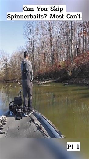 Top Bass Fishing Tips for Using Spinners and Bait