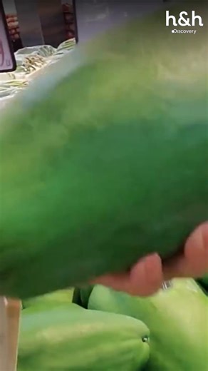 😷💔 David y Ani, pareja de distintas culturas, lucharon contra los desafíos de la pandemia, protegiendo a Ani de peligros y amenazas 🦠 #TodoEn90Días #EnCuarentena Disfruta el contenido de Discovery en #HBOMax Suscríbete ahora: https://bit.ly/MAX-HHLAT | Discovery en Español