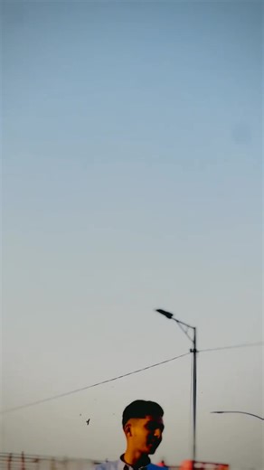 Logar Scale Model Showcase: 18-Inch Details