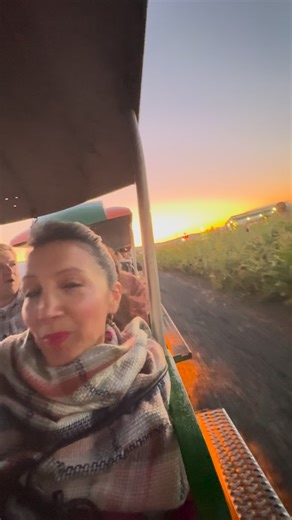 It was magical! @cornbellys 📍Spanish Fork #utah | Utah Fun Activities