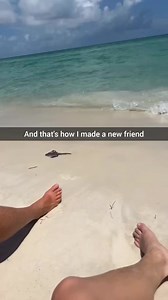 33M views · 711K reactions | He passed the vibe check  | Aydon Holley | Facebook