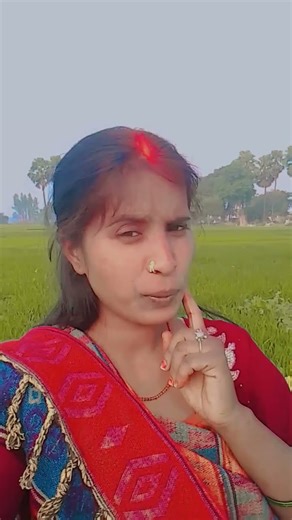 नाया साल का #song